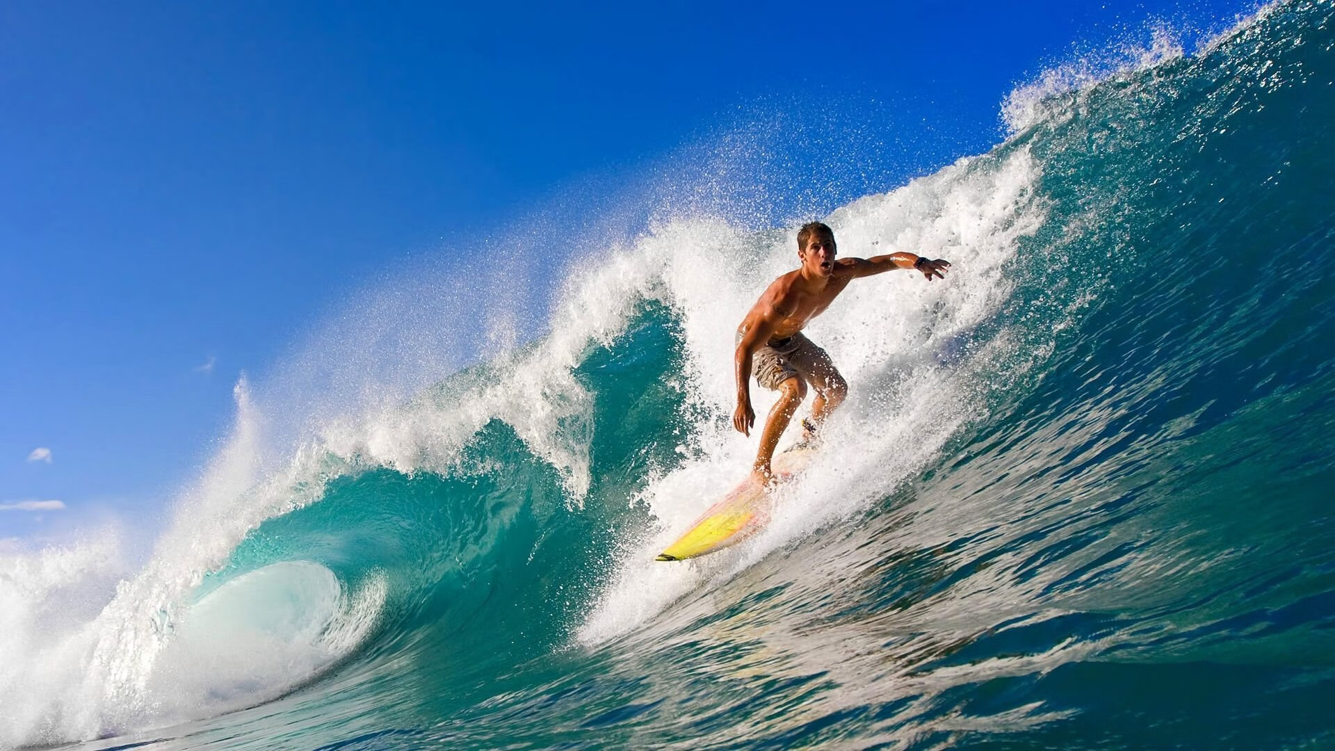 青少年体育活动组织协调,实施青少年体育活动